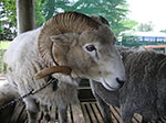 PICT3207.jpg