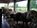 PICT3210.jpg