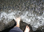 PICT3341.jpg
