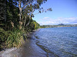 PICT3343.jpg