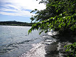 PICT3347.jpg