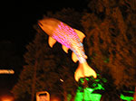 PICT3406.jpg