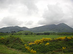 PICT3413.jpg