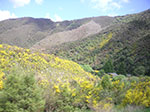 PICT3422.jpg