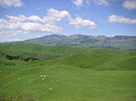 PICT3437.jpg
