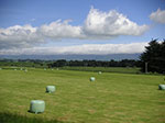 PICT3517.jpg