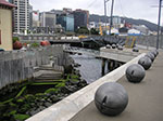 PICT3564.jpg