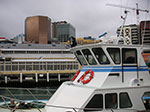 PICT3593.jpg