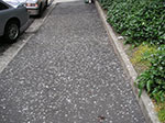 PICT3610.jpg