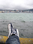 PICT3658.jpg