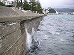 PICT3667.jpg