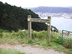 PICT3691.jpg