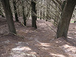 PICT3743.jpg