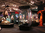 PICT3764.jpg