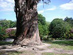 PICT4281.jpg