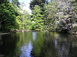 PICT4289.jpg