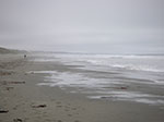 PICT4308.jpg