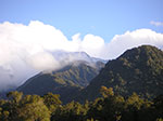 PICT4823.jpg