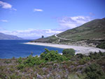 PICT4885.jpg