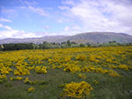 PICT4894.jpg