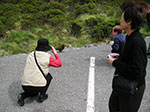 PICT4961.jpg