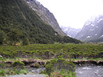 PICT4970.jpg
