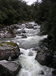 PICT4981.jpg