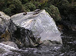 PICT5042.jpg