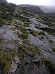 PICT5048.jpg