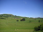 PICT5167.jpg
