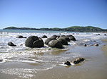 PICT5180.jpg
