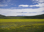 PICT5192.jpg
