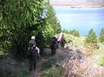 PICT5241.jpg