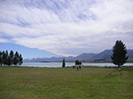 PICT5310.jpg