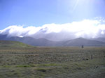 PICT5365.jpg