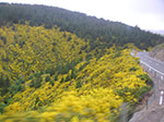 PICT5366.jpg