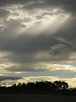 PICT5494.jpg