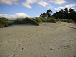 PICT5596.jpg