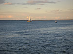 PICT5650.jpg