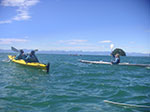 PICT5694.jpg