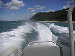 PICT5758.jpg