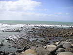 PICT6011.jpg