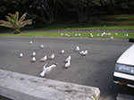 PICT6027.jpg