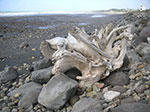 PICT6036.jpg