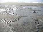 PICT6040.jpg