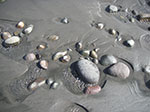 PICT6052.jpg