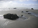 PICT6068.jpg