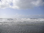 PICT6081.jpg