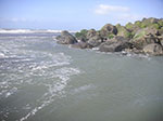 PICT6094.jpg