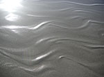 PICT6106.jpg